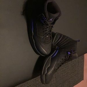 Air Jordan 12s
